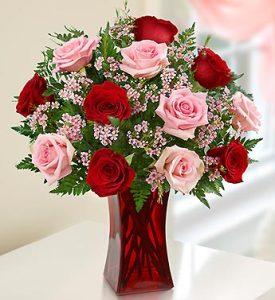 Shades of Pink and Red