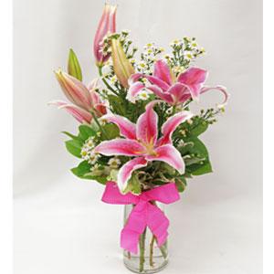Perfectly Pink Lily